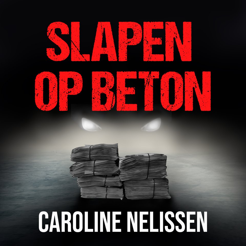 Omslagfoto van Slapen op beton: Een waargebeurd verhaal