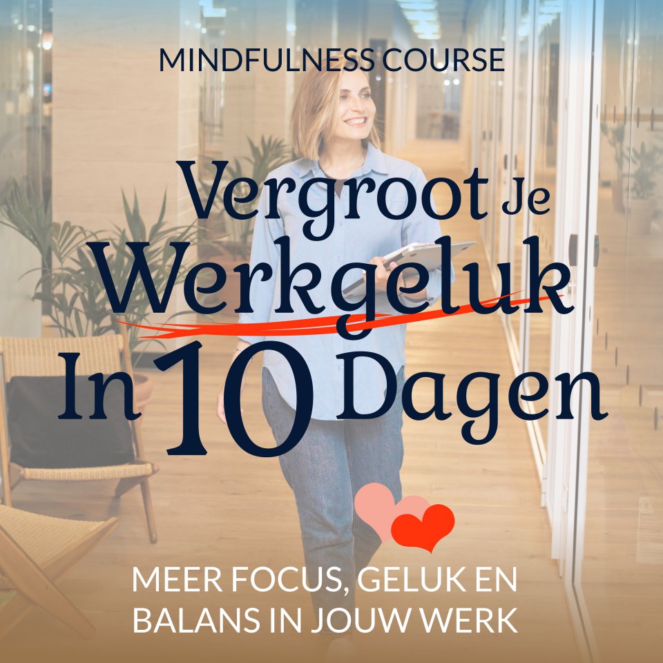 Omslagfoto van Vergroot je werkgeluk in 10 Dagen: meer focus, geluk en balans in je werk