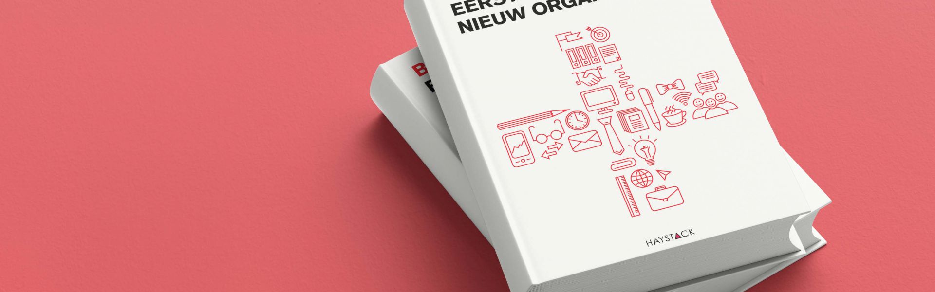 Eerste hulp bij nieuw organiseren (e-book)