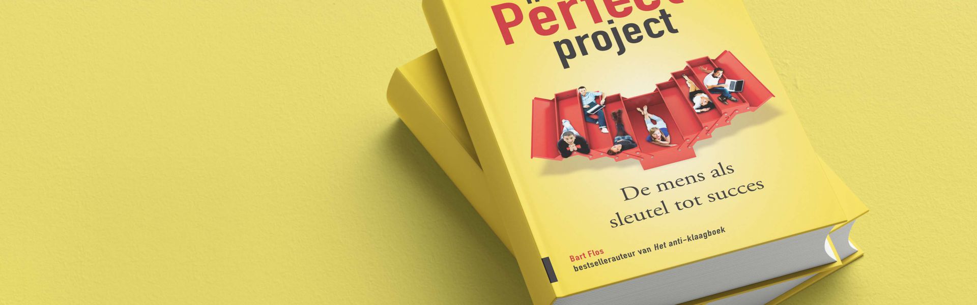 Het perfecte project (e-book)