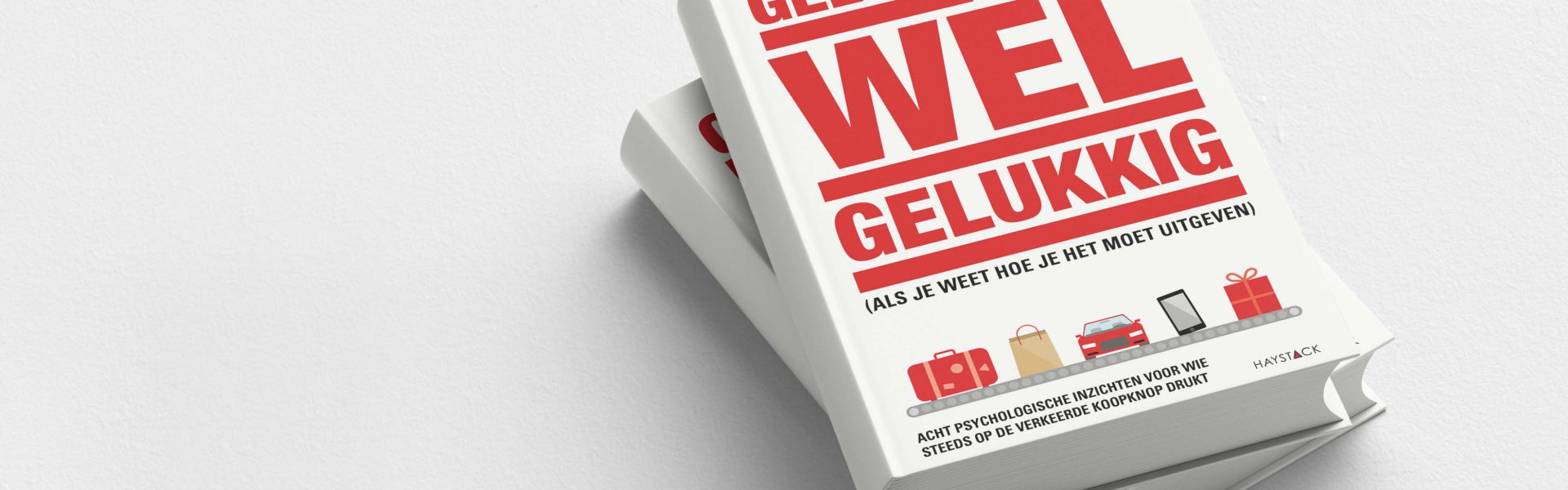 Geld maakt wel gelukkig (e-book)
