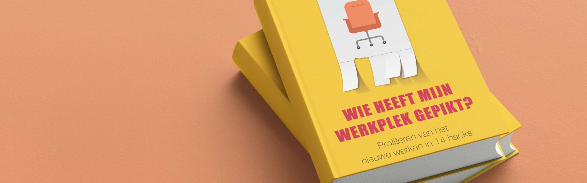 Wie heeft mijn werkplek gepikt? (e-book)