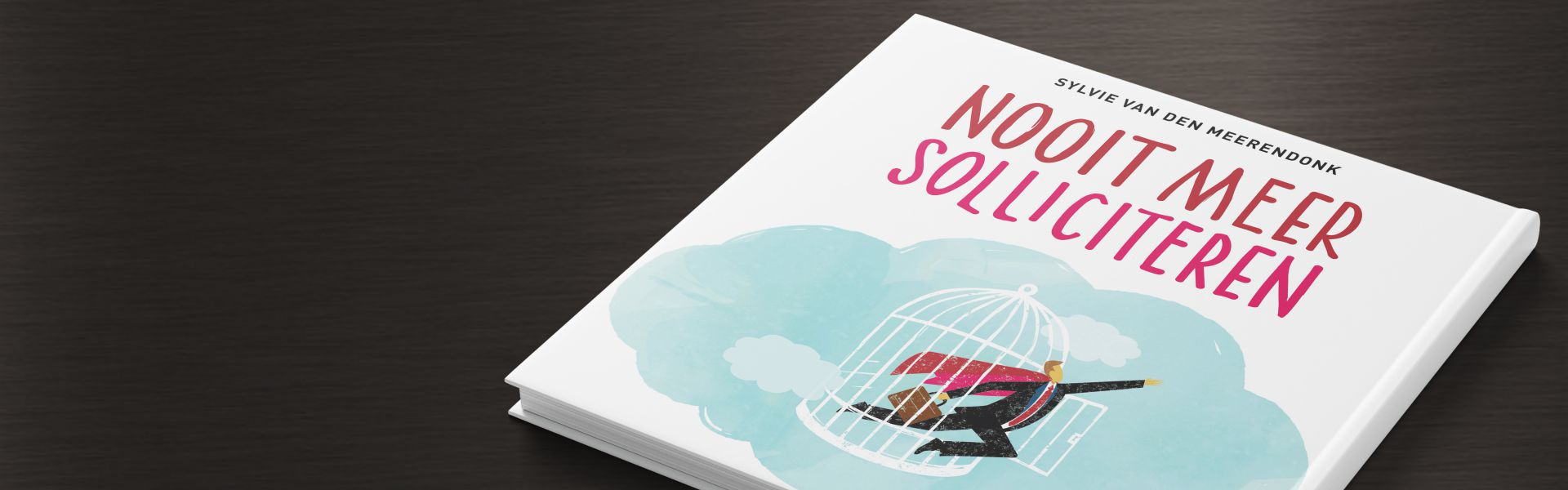 Nooit meer solliciteren (e-book)