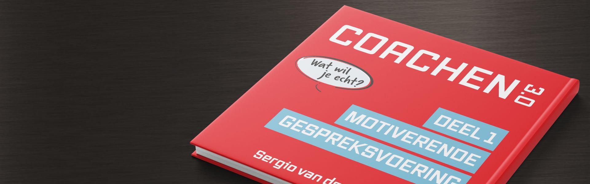 Coachen 3.0 deel 1: Motiverende gespreksvoering (e-book)