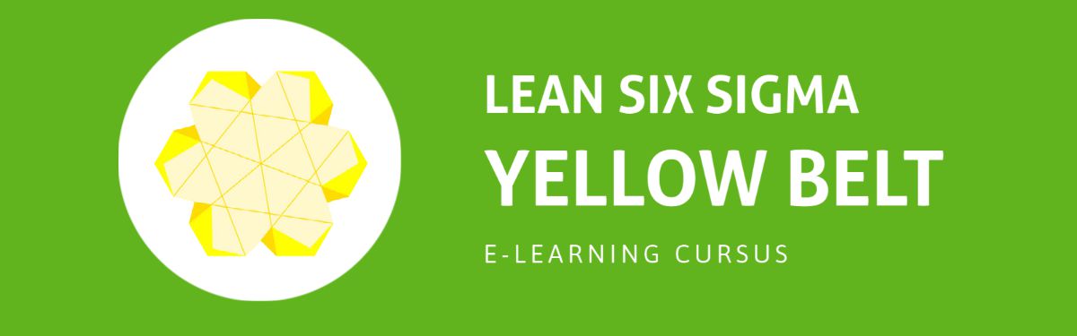 Verbetermanagement met Lean Six Sigma: Yellow Belt
