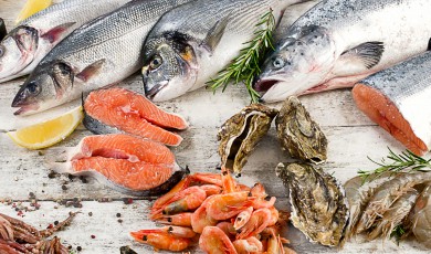Kennis over vis en schaaldieren in de horeca
