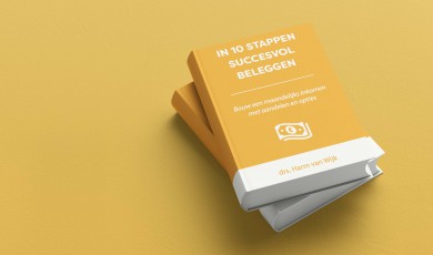 In 10 Stappen Succesvol Beleggen (e-book)