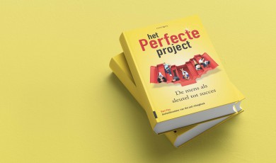 Het perfecte project (e-book)
