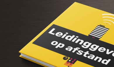 Leidinggeven op afstand (e-book)