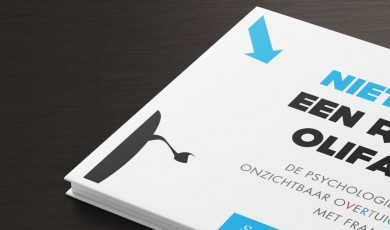 De psychologie van onzichtbaar overtuigen (e-book)