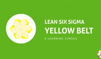 Verbetermanagement met Lean Six Sigma: Yellow Belt