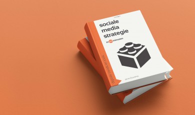 Sociale media strategie in 60 minuten (e-book)